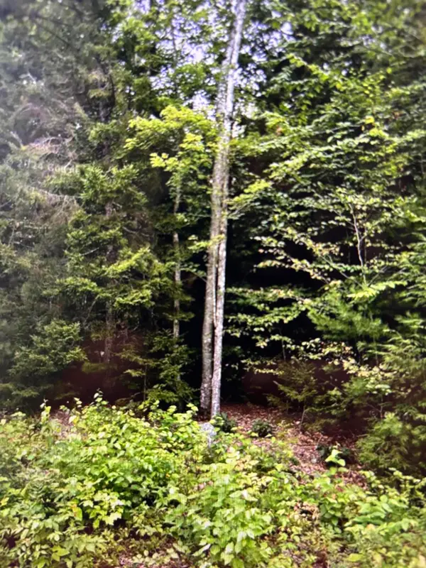 163 Sandy Acres Drive, Sullivan, ME 04664