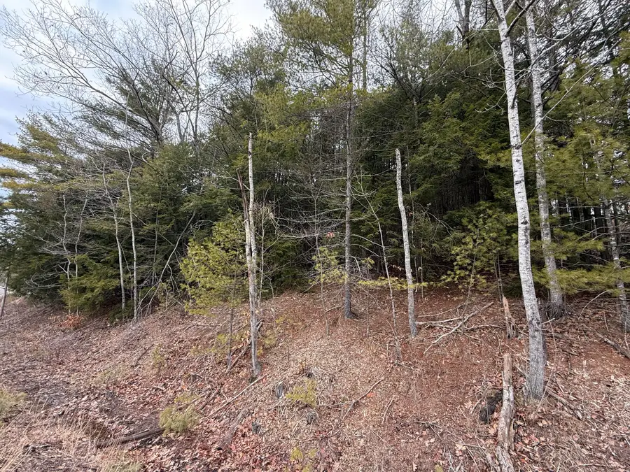M43 L6 Shady Nook Road, West Newfield, ME 04095 - #2