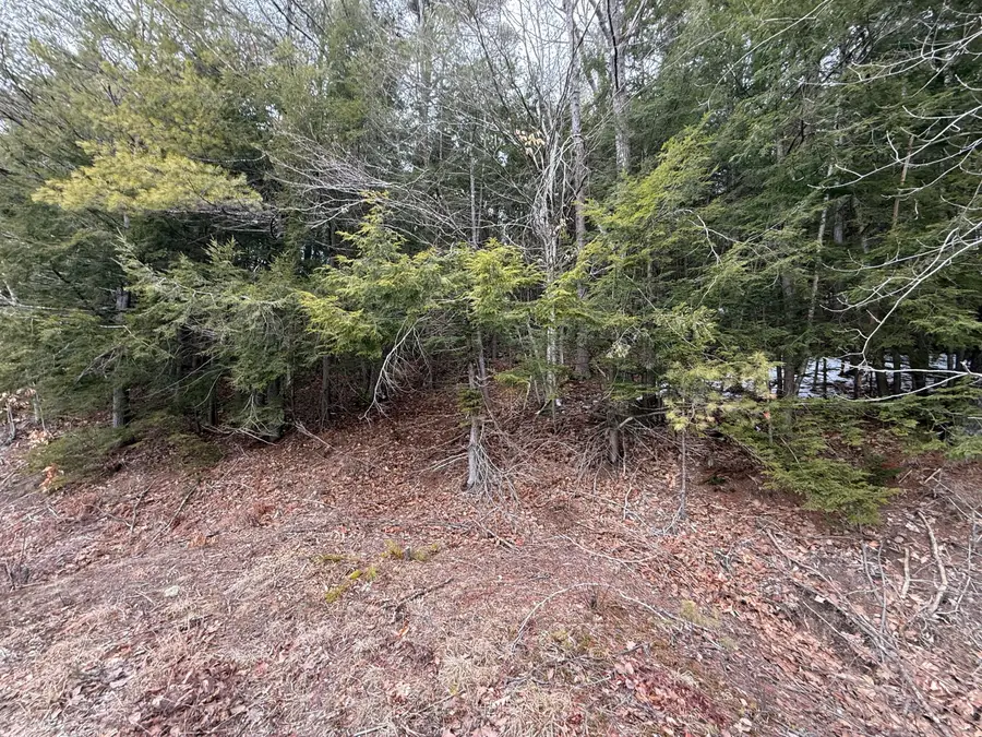 M43 L6 Shady Nook Road, West Newfield, ME 04095 - #3