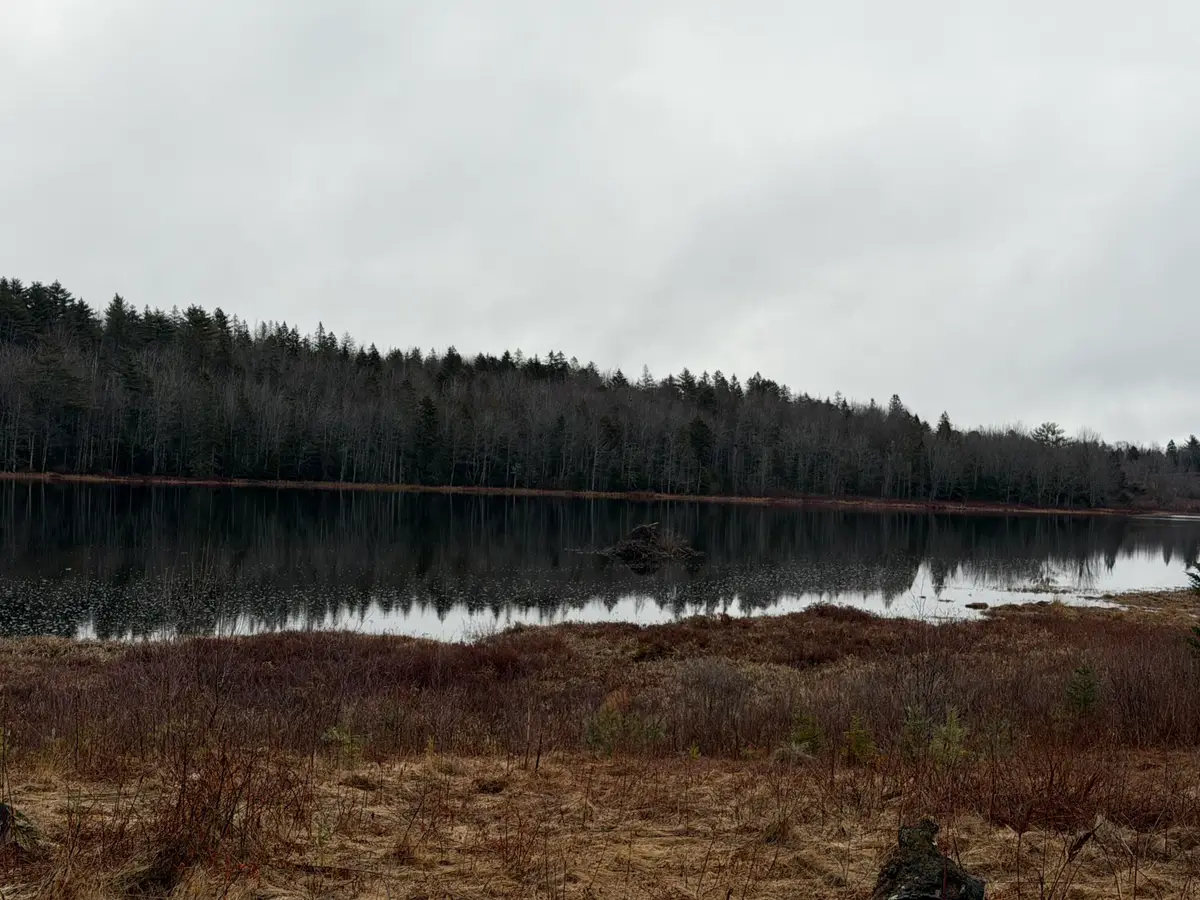 0 Guzzle Road, Gouldsboro, ME 04607 - #1