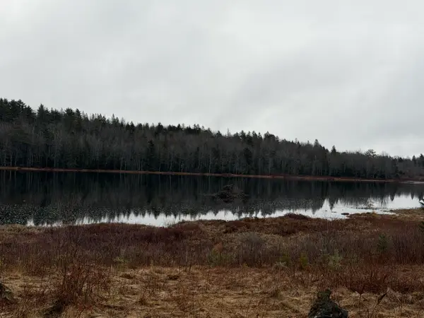 0 Guzzle Road, Gouldsboro, ME 04607