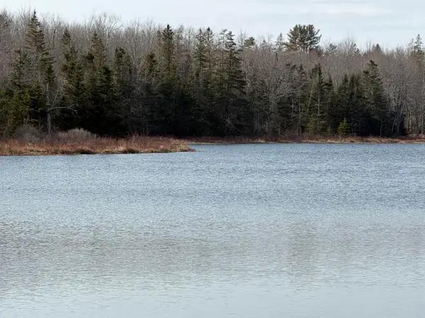 25C Guzzle Road, Gouldsboro, ME 04607