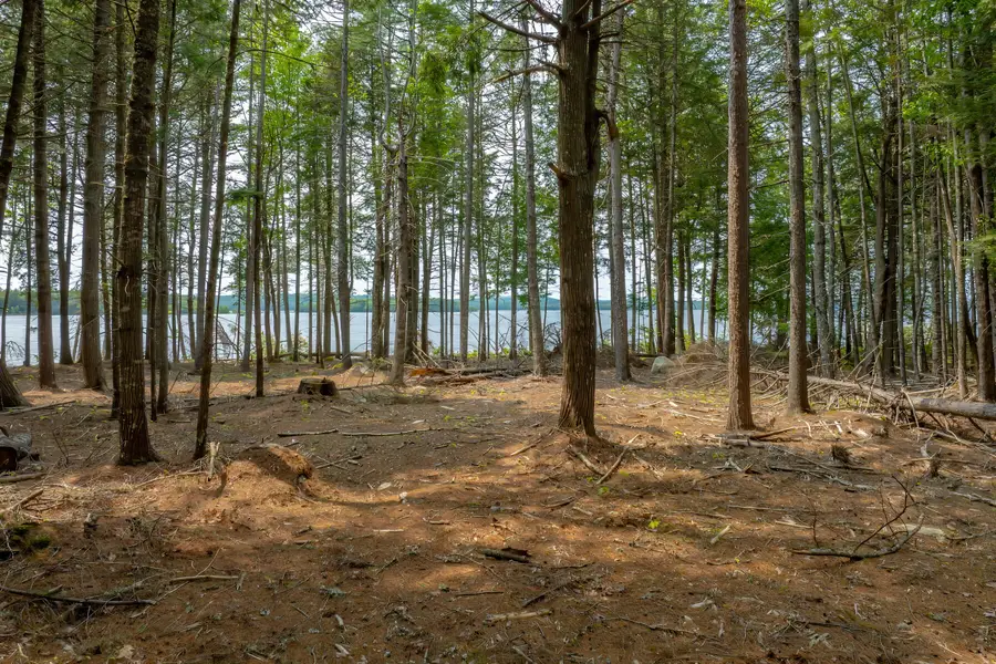 80 Bufford Drive, Waltham, ME 04605 - #3