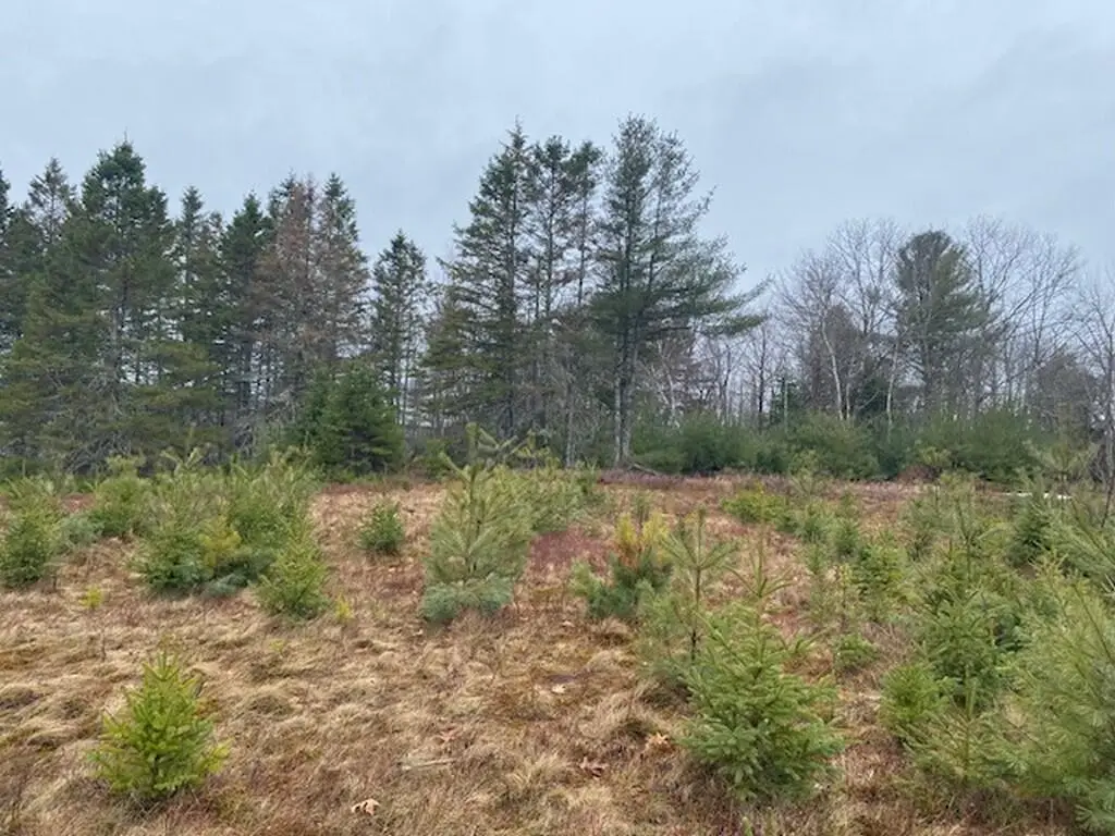 Lot 5 Copeland Hill Road, Holden, ME 04429 - #1