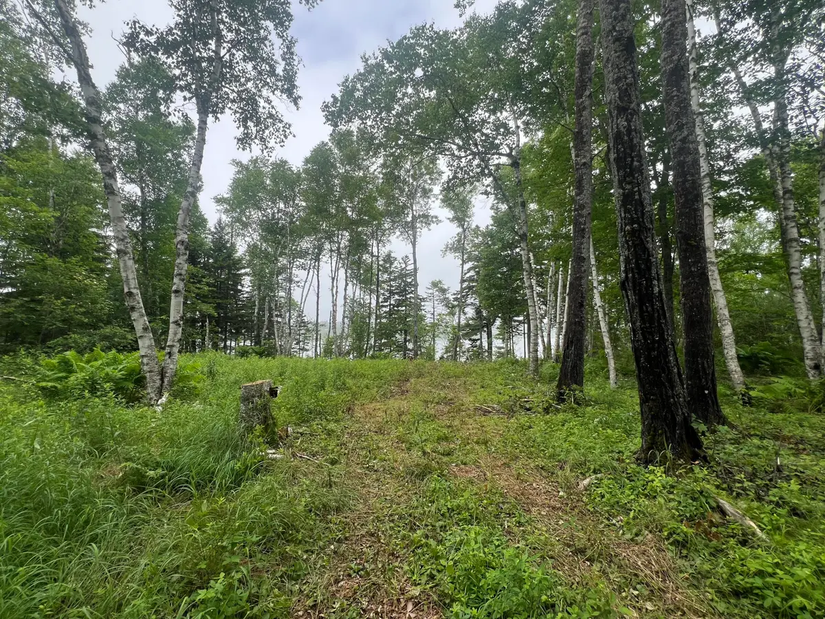 Lot 1 Puffins Lane, Machiasport, ME 04655 - #1