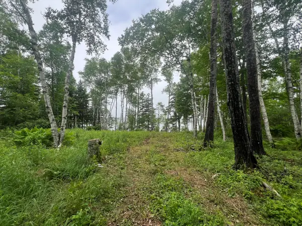 Lot 1 Puffins Lane, Machiasport, ME 04655