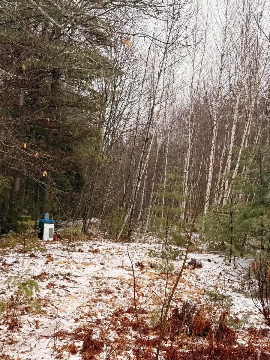 Lot #5 Mohawk Road, Enfield, ME 04493 - #2