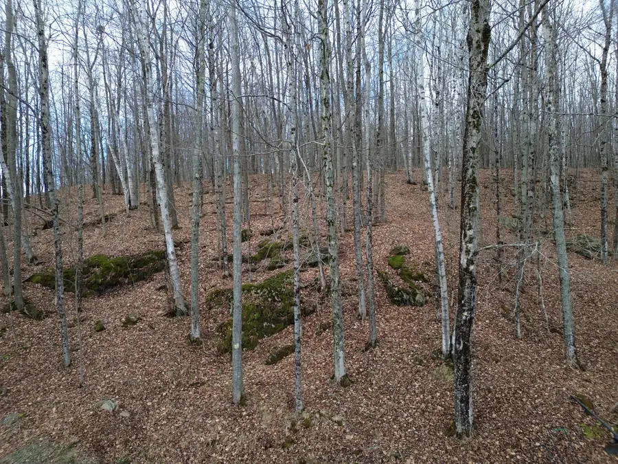 62 Grove Street, Dexter, ME 04930 - #3