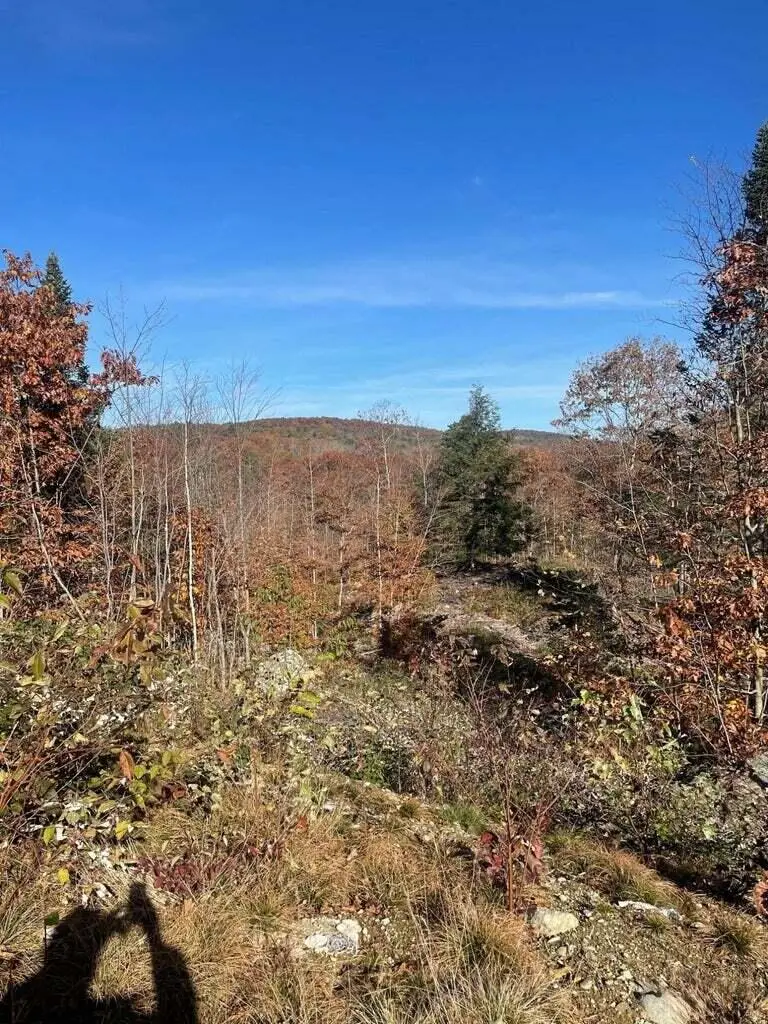 M1, L28 Mt. Pisgah Road, Winthrop, ME 04364 - #3
