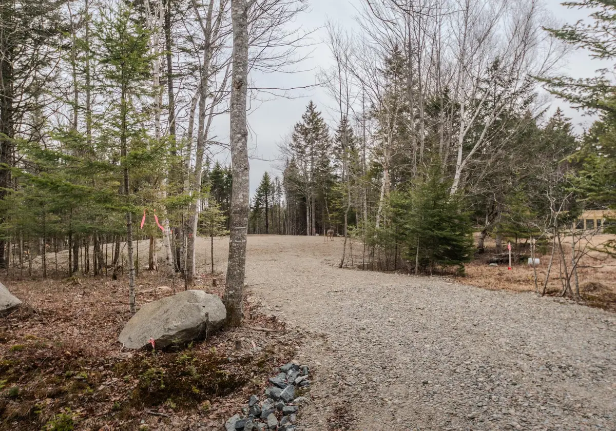 Lot #109B Stagecoach Road, Marshfield, ME 04654 - #1