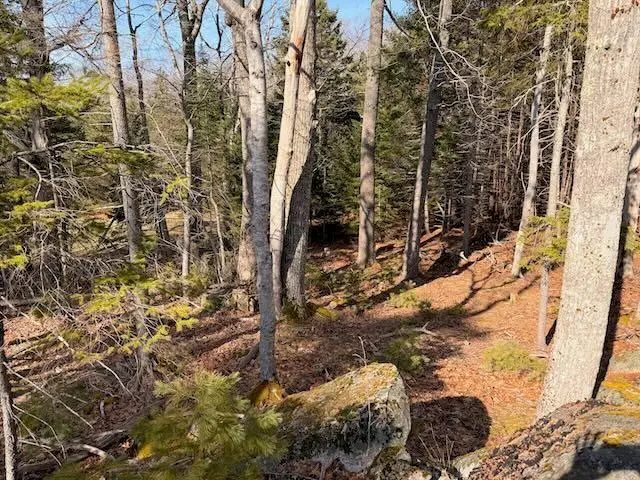 0 Balsam Lane, Mount Desert, ME 04660 - #2