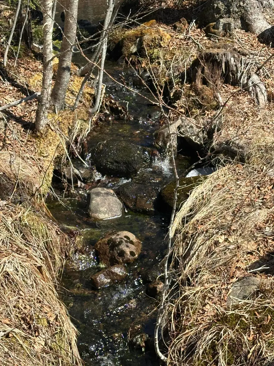 Lot #0 Morgan Bay Road, Surry, ME 04684 - #2