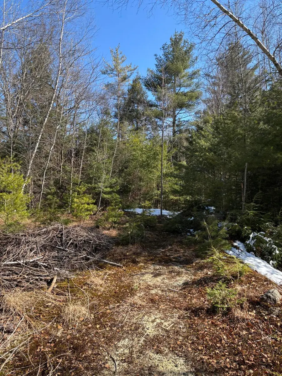 4 Bog Brook Loop, West Paris, ME 04289 - #3