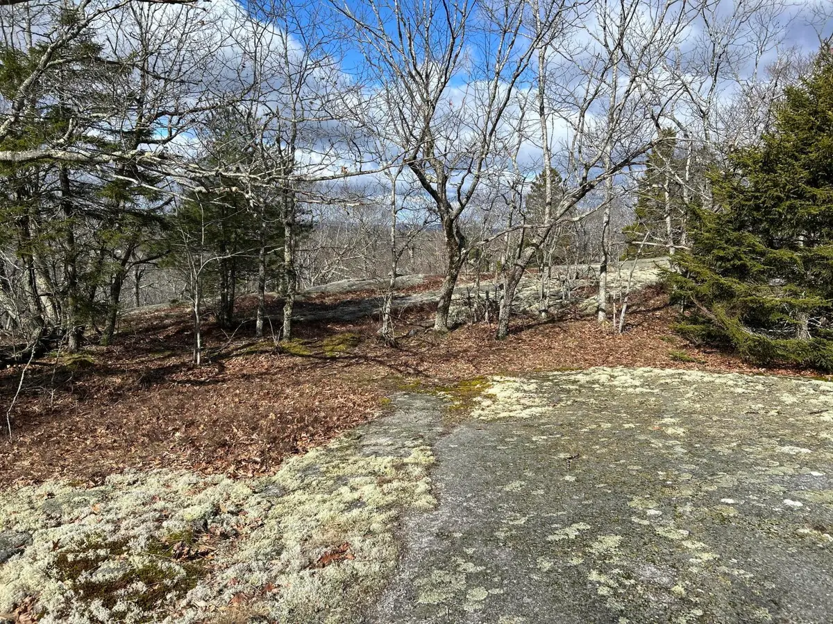 Map8Lot6 Cmp, Prospect, ME 04981 - #1