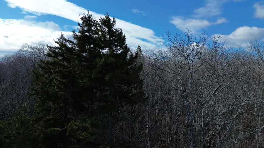 Map8Lot6 Cmp, Prospect, ME 04981 - #2