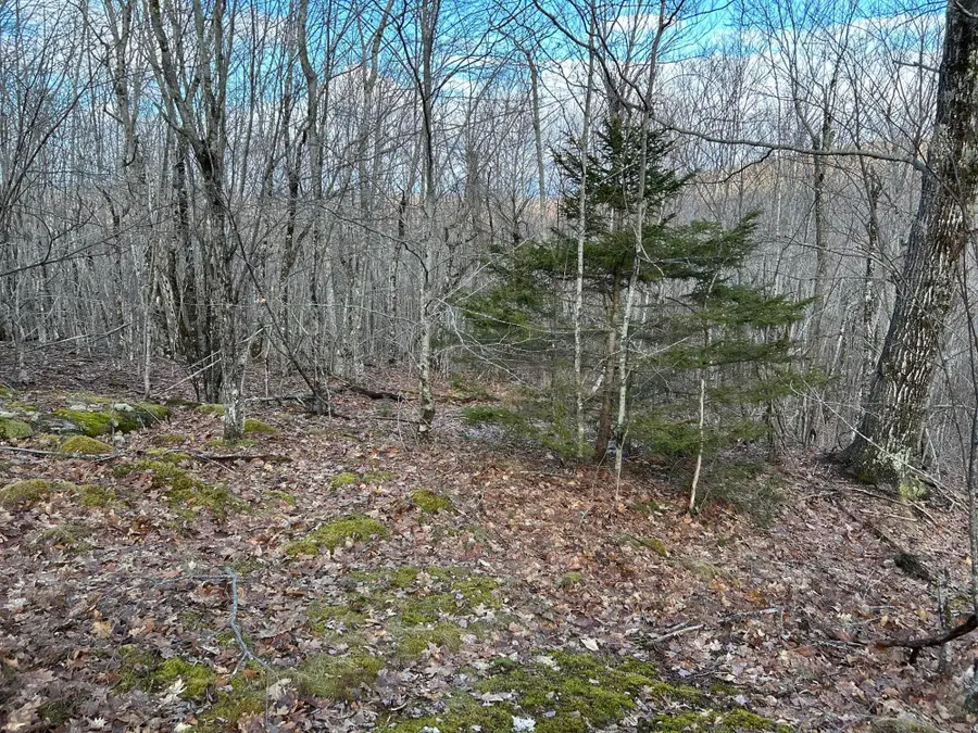 Map8Lot6 Cmp, Prospect, ME 04981 - #3