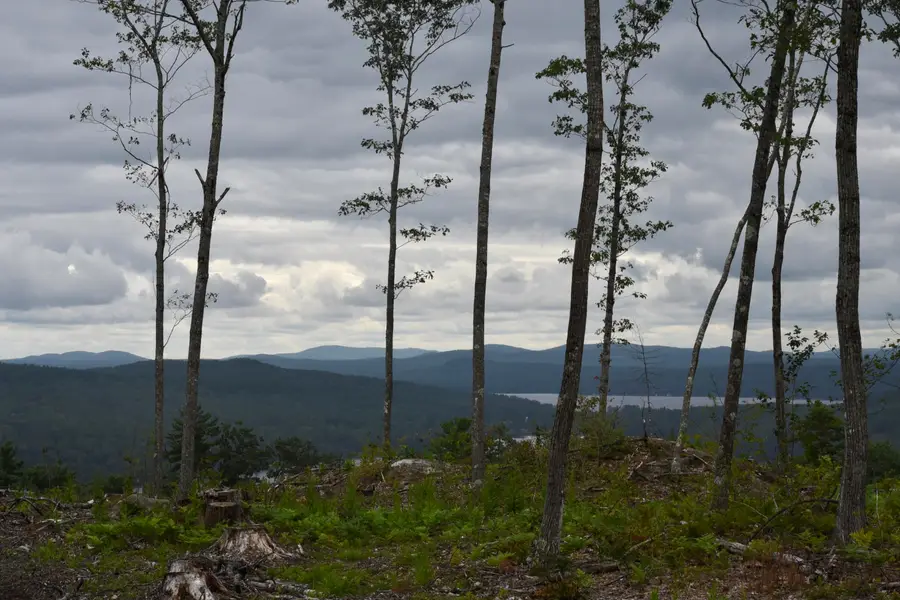 TBD Deer Hill Road, Harrison, ME 04040 - #3