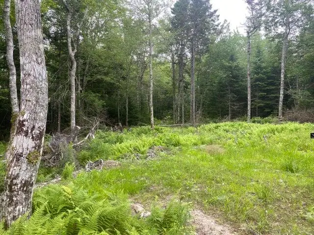 53 Woodland Drive, Trenton, ME 04605 - #1