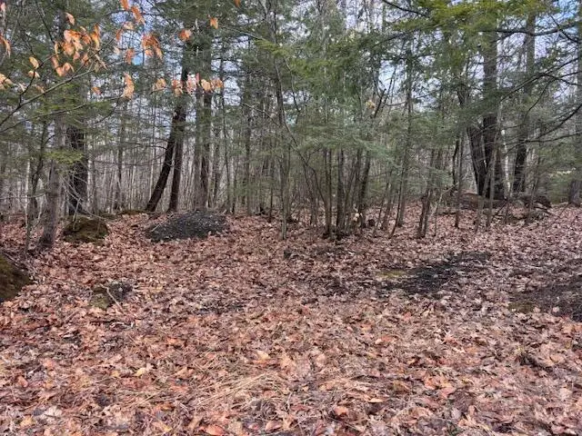 LOT 4 Desert Pond Road, Mount Vernon, ME 04352 - #2