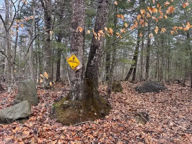 LOT 4 Desert Pond Road, Mount Vernon, ME 04352 - #3