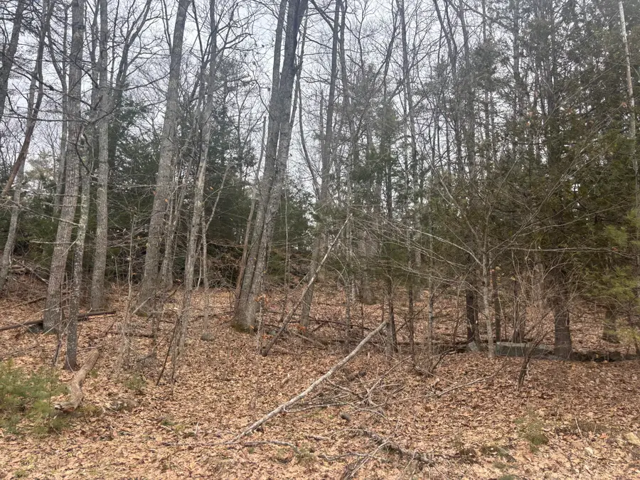 Lot 3 Heath Road, Whitefield, ME 04353 - #2