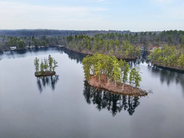 0 Lamb Chop & Picnic Island Island, Acton, ME 04001
