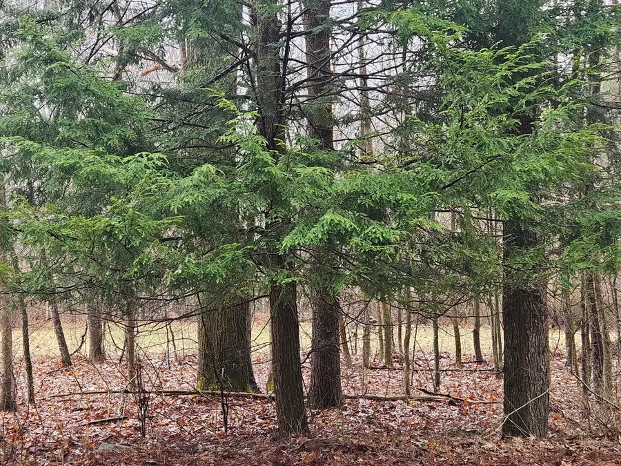 9 Mudget Hill Road, Vassalboro, ME 04989 - #3