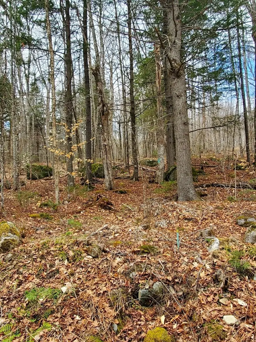 0 Sandy Beach Road, Danforth, ME 04424 - #3