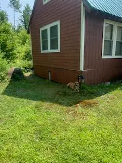 173 N Tamworth Road, Oxford, ME 04270 - #2