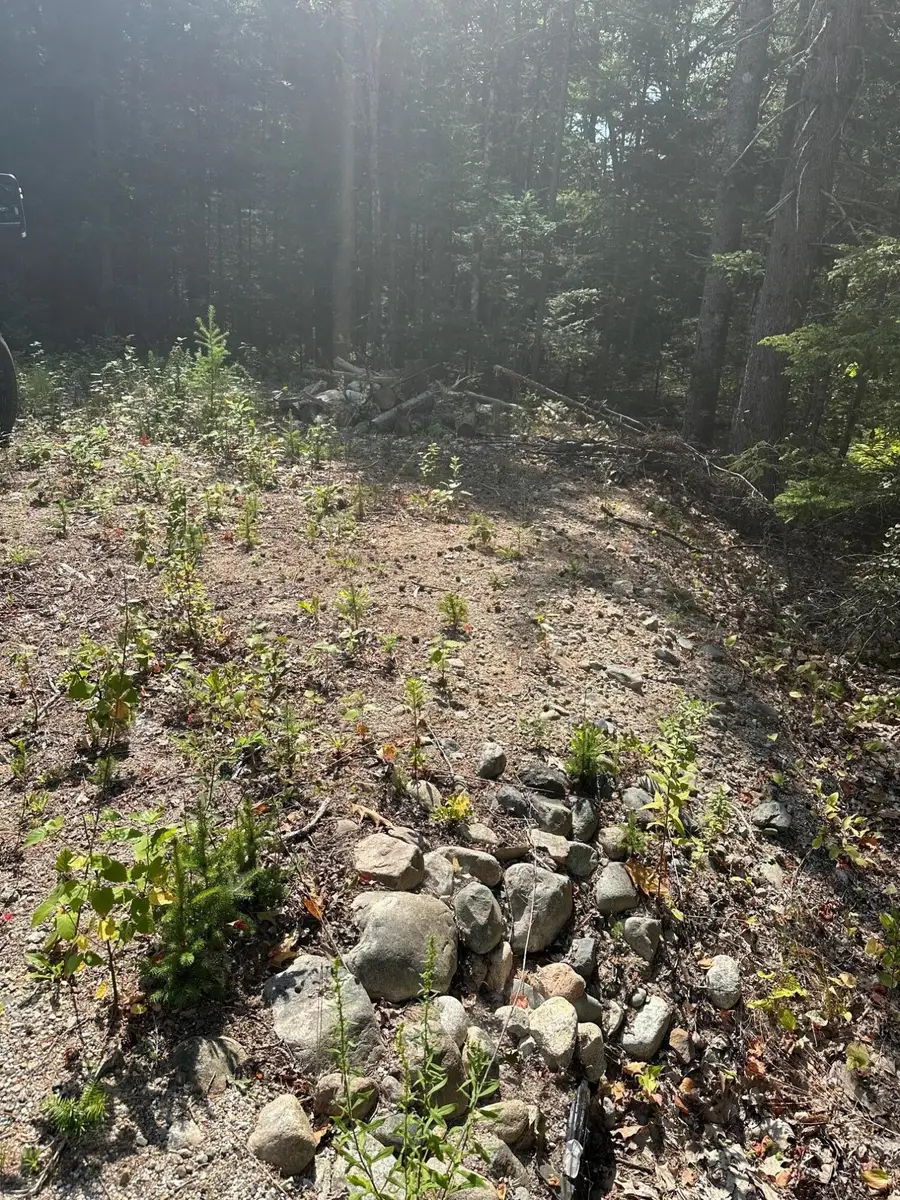 0 Route 1 Route, Gouldsboro, ME 04607 - #2