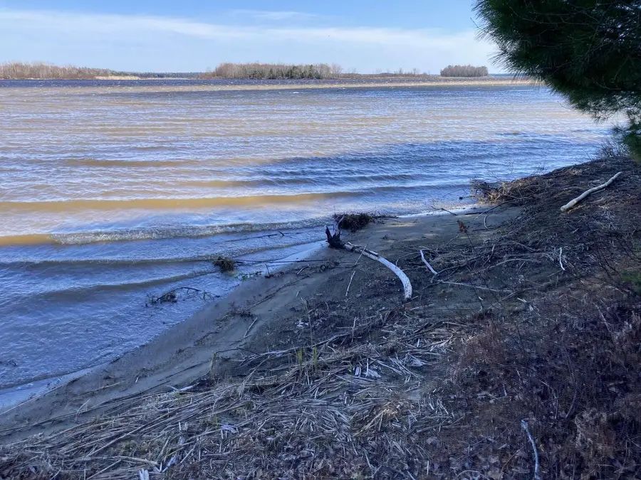 241 Tannery Brook Road, Mariaville, ME 04605 - #3