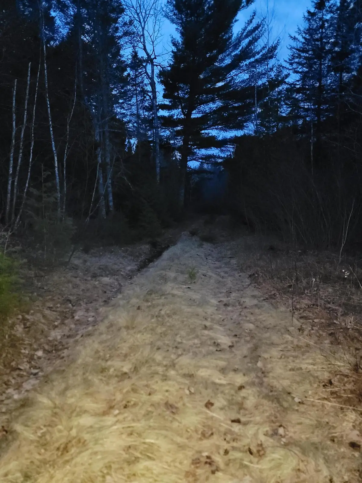 WA031 King Street, East Central Washington, ME 04628 - #1