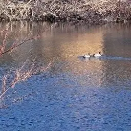 14 Arab Road, Lee, ME 04455 - #2