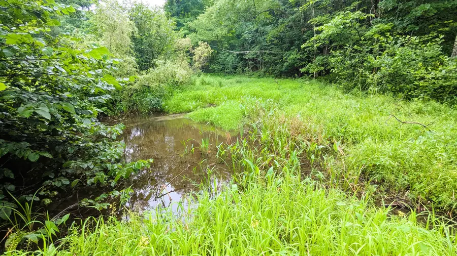 29 Kents Hill Road, Wayne, ME 04284 - #3