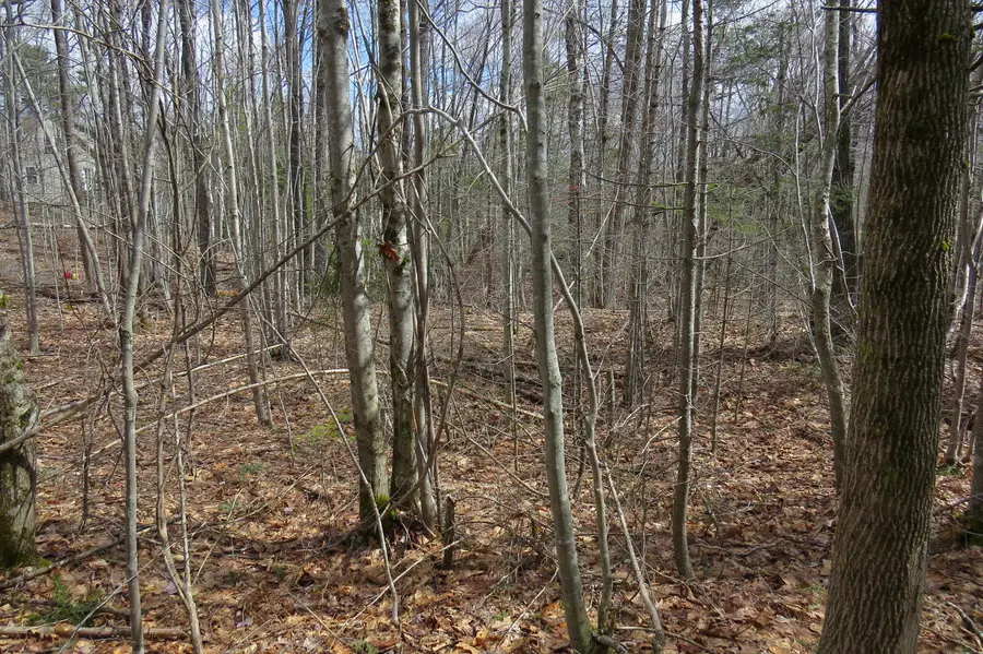 0 Oak Hill Road, Orland, ME 04472 - #3