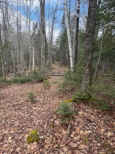 Map 1 L2 Union Street, Glenburn, ME 04401 - #3