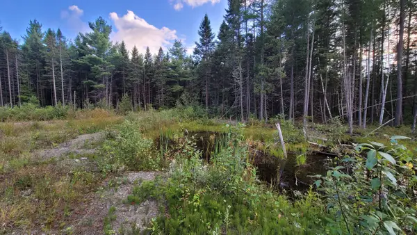 M15L10A Thomas Road, Woodland, ME 04736