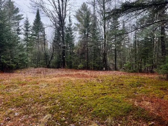 SO 001 Plan 2 Lot 16.1 Long Falls Dam Road, Central Somerset, ME 04961 - #2