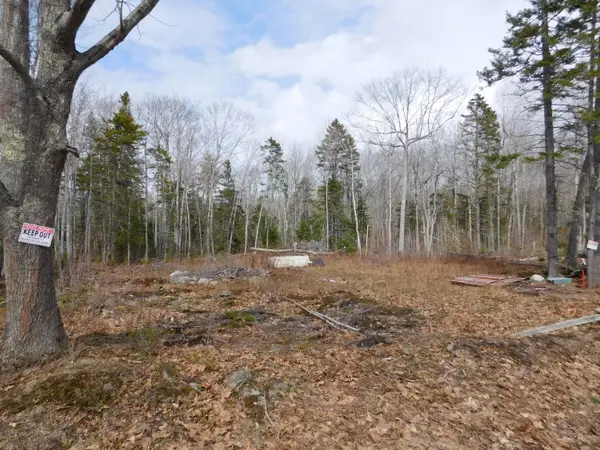 Lot # 0 Beech Hill Road, Northport, ME 04849