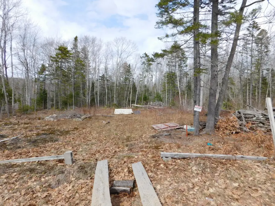 Lot # 0 Beech Hill Road, Northport, ME 04849 - #3
