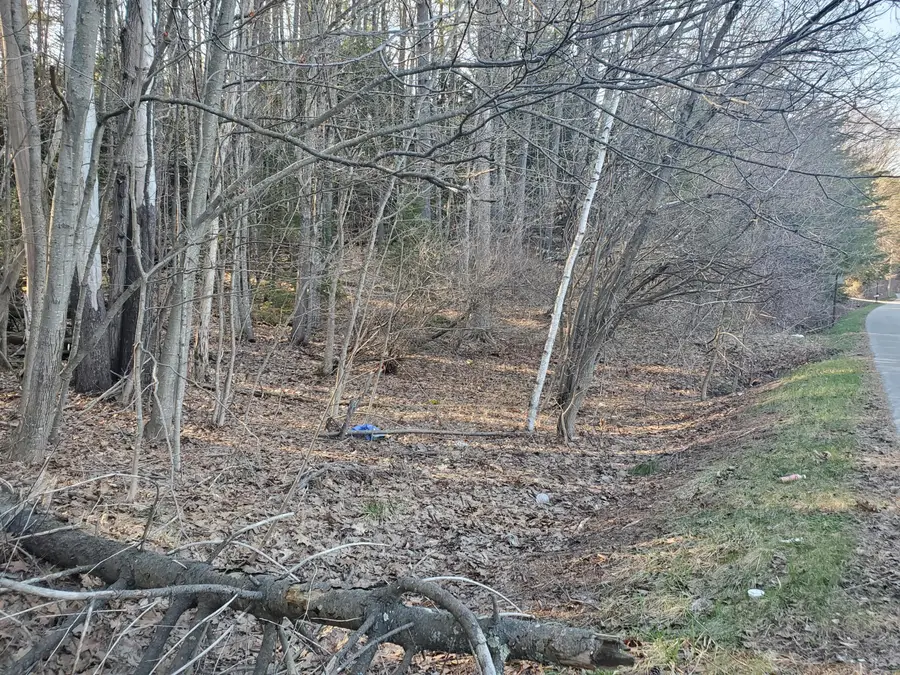 Lot #47 Gray Road, Gorham, ME 04038 - #3