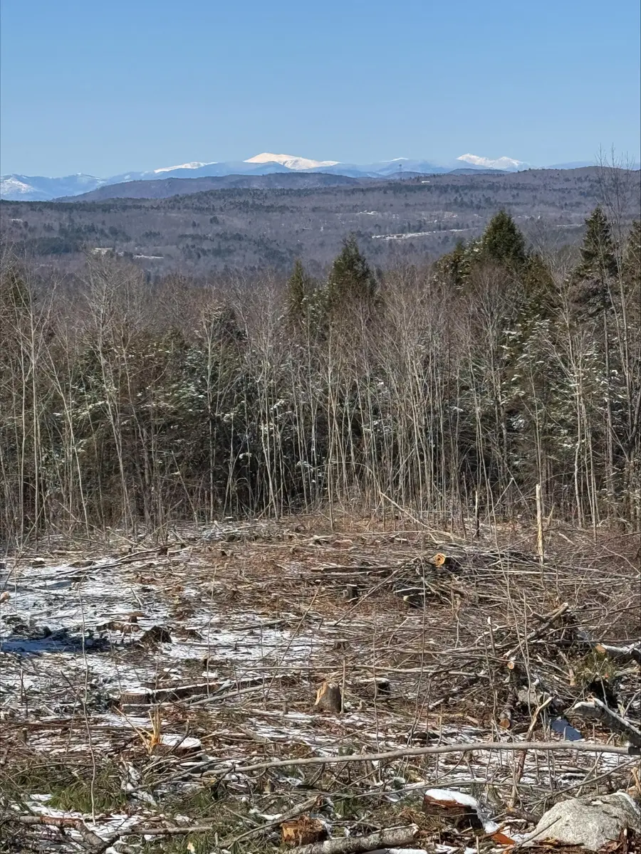 00 Ellingwood Road, Paris, ME 04271 - #2