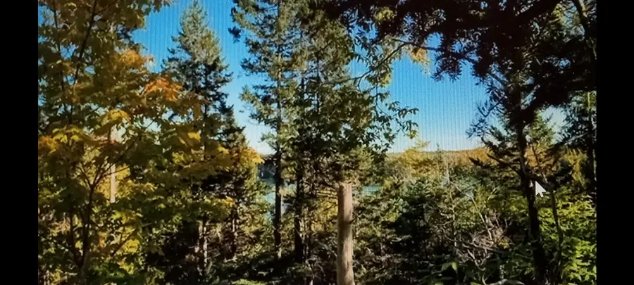 0 Lead Mine Road, Lubec, ME 04652 - #3