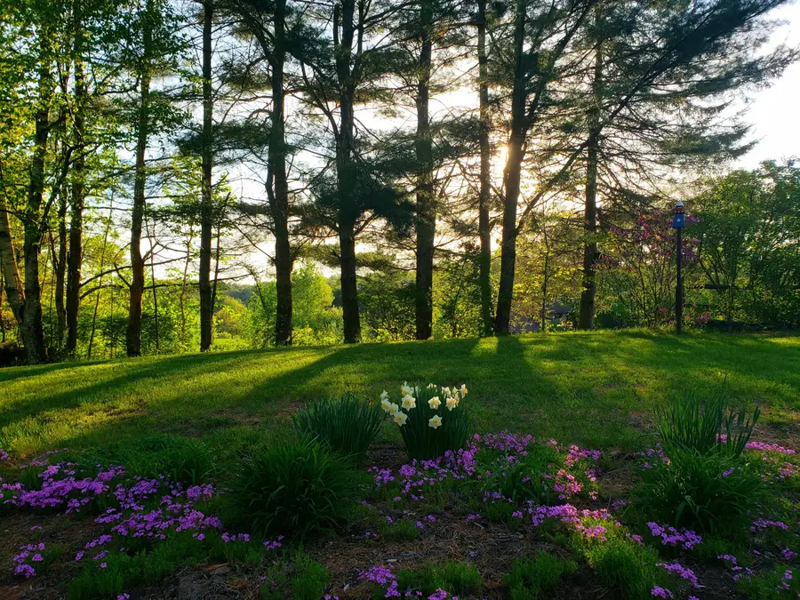 39 Cook Road, Windham, ME 04062 - #2