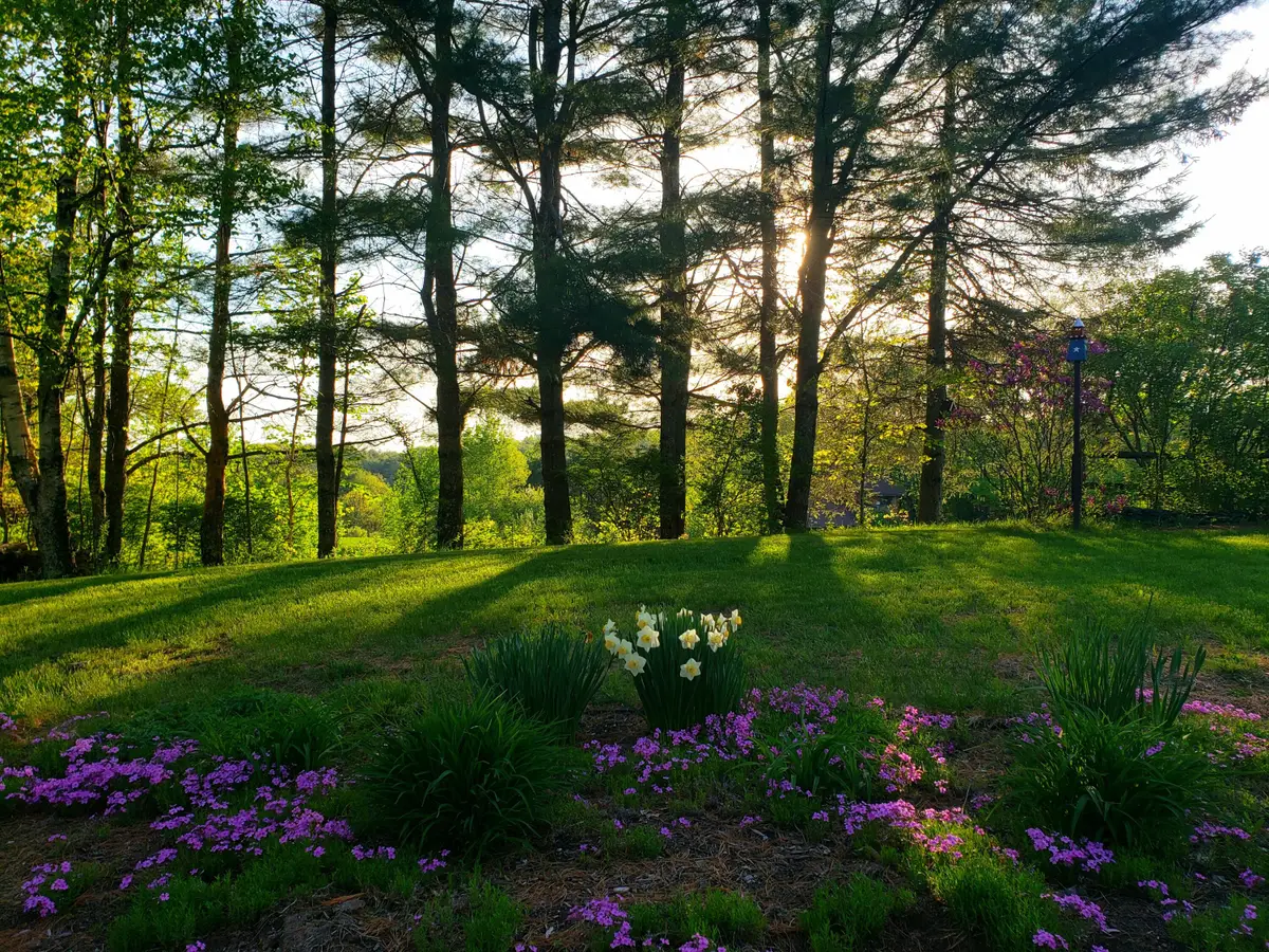 0 Cook Road, Windham, ME 04062 - #1