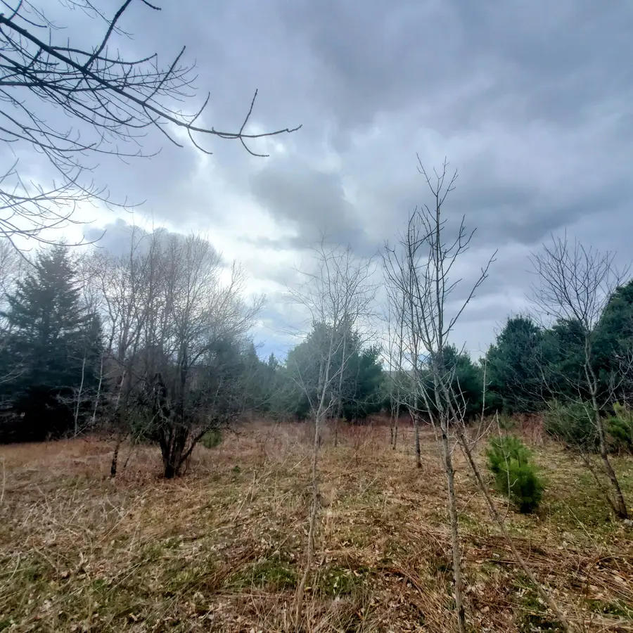 Lot 5 Dexter Road, Cambridge, ME 04923 - #3