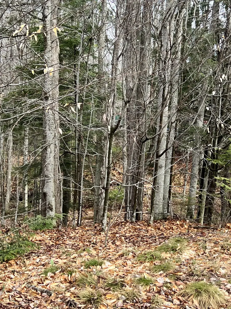 R12-042 Industry Road, Farmington, ME 04938 - #2