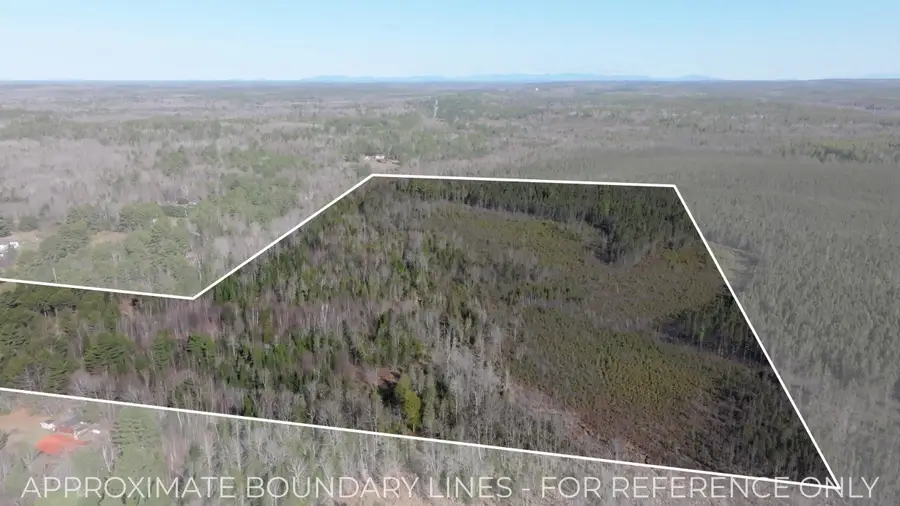 2.01 AC Bennoch Road, Alton, ME 04468 - #3