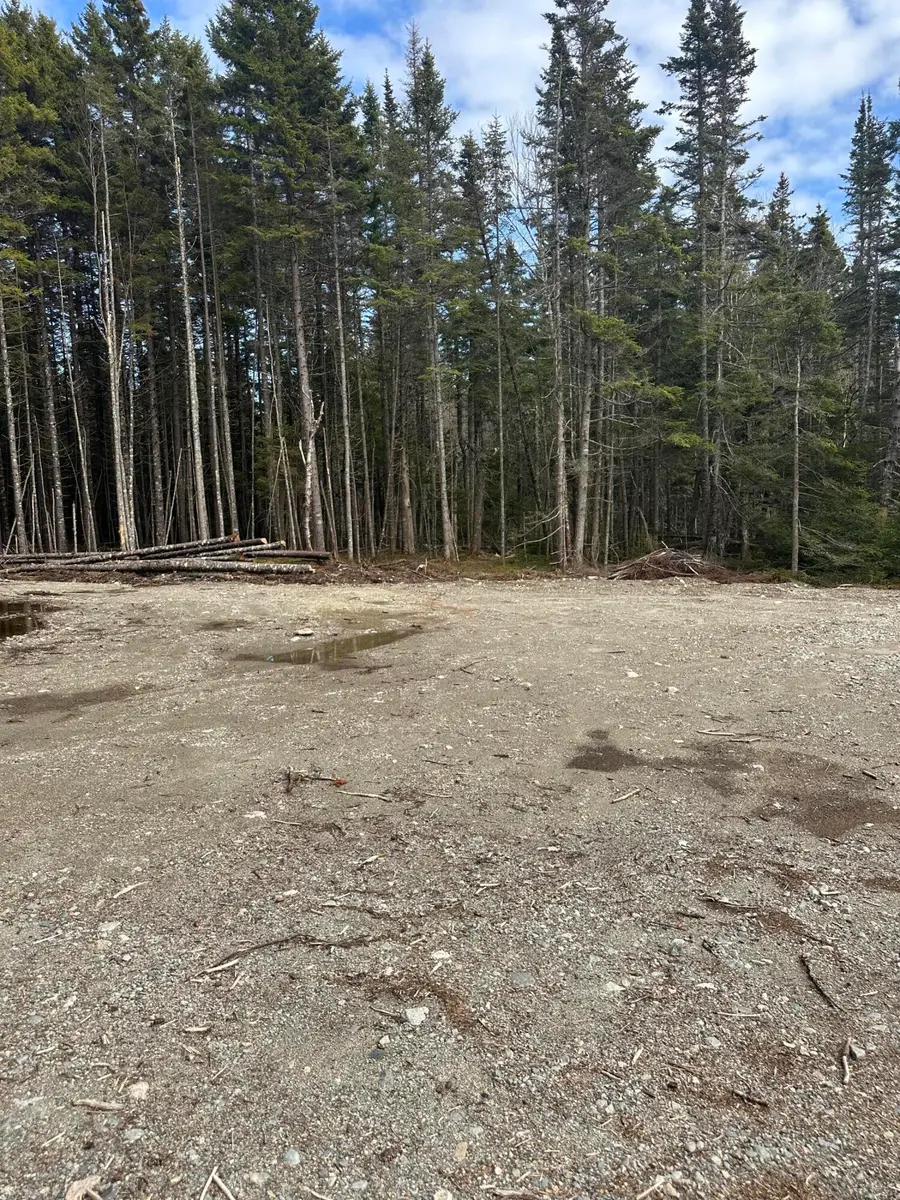 62 Yoho Head Road, Machiasport, ME 04655 - #2