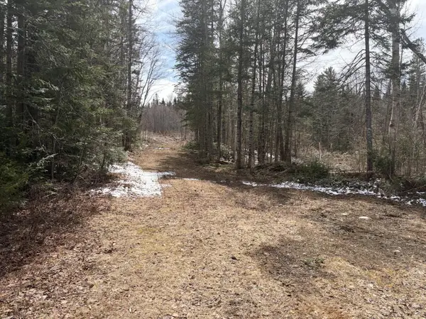 339 Long Pond Road, Jackman, ME 04945
